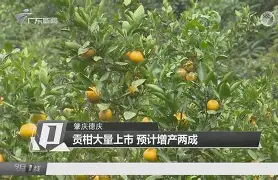 亚博平台 -"嶊vP?*?{柑愘L龙l=??0鋠